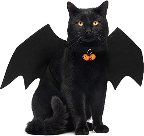 BatCat - Costume for Cats: Is it Cruel to Put Costumes On A Cat?