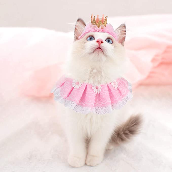 CatPrincessCostume - Costume for Cats: Is it Cruel to Put Costumes On A Cat?