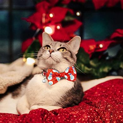ChristmasCat - Costume for Cats: Is it Cruel to Put Costumes On A Cat?