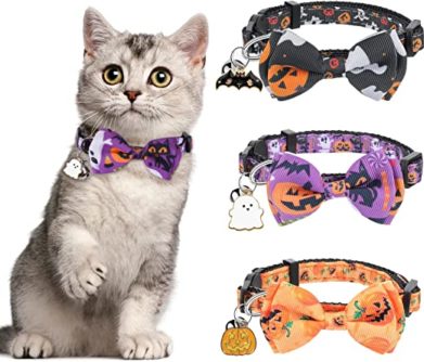 HalloweenCatColllar - Costume for Cats: Is it Cruel to Put Costumes On A Cat?