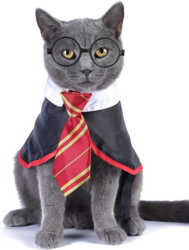 HarryPotterCatCostume - Costume for Cats: Is it Cruel to Put Costumes On A Cat?