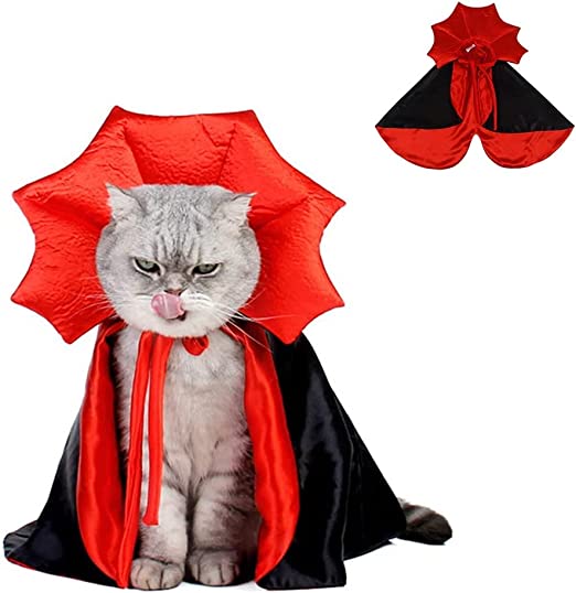 VampireCatCostume - Costume for Cats: Is it Cruel to Put Costumes On A Cat?